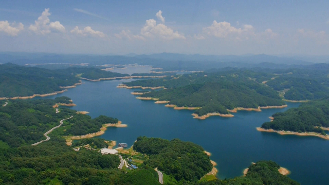 안동댐 준공 50년 