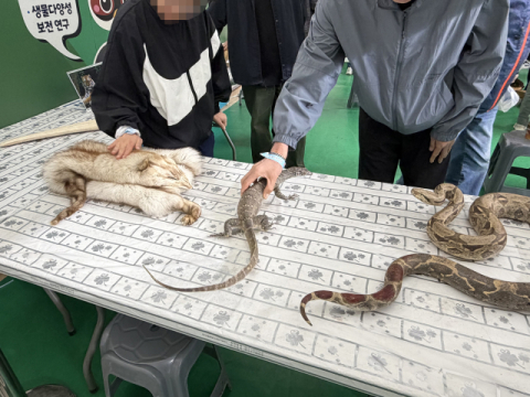 참가자들이 도마뱀 등 희귀 생물 표본을 직접 만져보는 촉각 체험을 통해 생물의 형태와 특징을 보다 생생하게 느끼고 있다. 생물자원관 제공