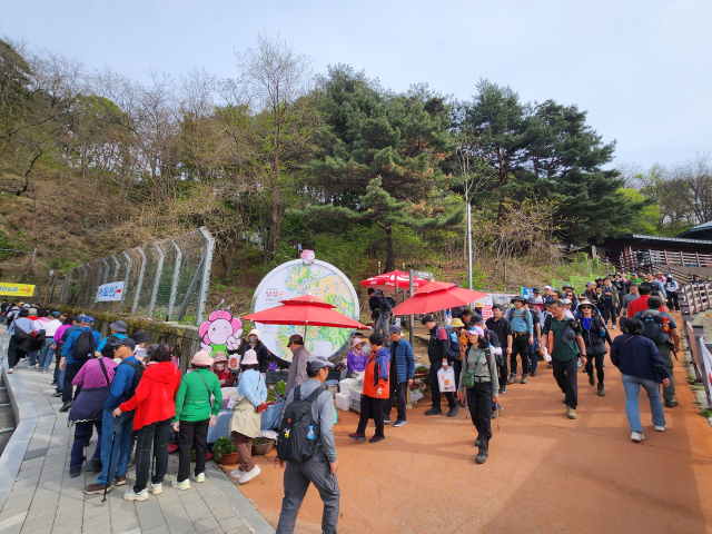 행사 기간 내내 무료 셔틀버스를 운행, 관광객들의 이동 편의를 도왔다. 달성군 제공.