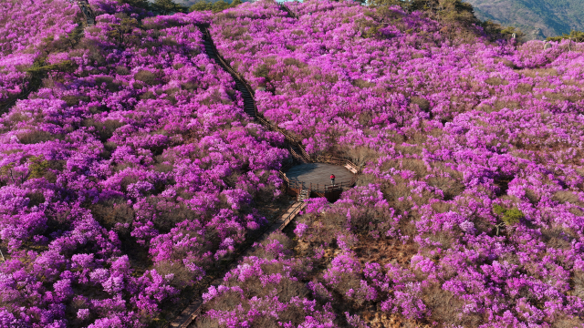 지난 17~19일 달성군 유가읍 비슬산에서 열린 