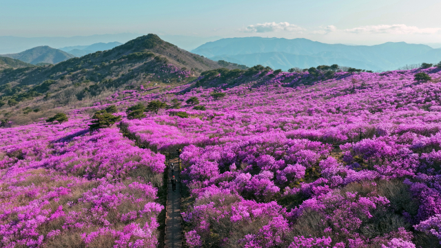 지난 17~19일 달성군 유가읍 비슬산에서 열린 