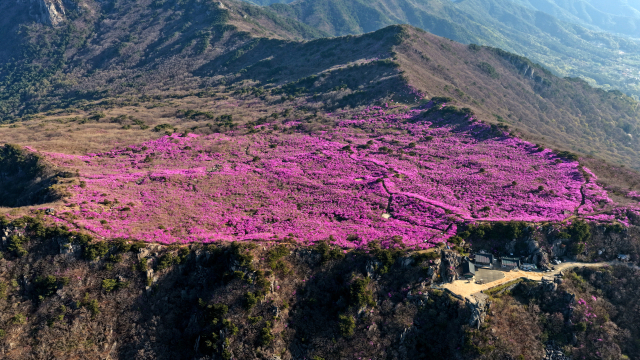 지난 17~19일 달성군 유가읍 비슬산에서 열린 