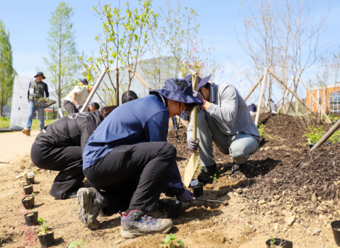 '취임식 아낀 돈'으로 숲 조성…iM뱅크, ESG 기부 새 모델 제시