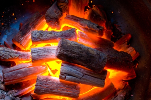 [속보] 불붙은 숯으로 조카 고문해 숨지게한 80대 무속인…무기→7년 '감형'