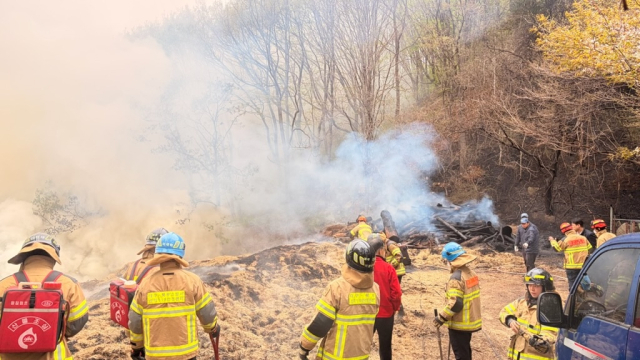 대구소방안전본부 제공