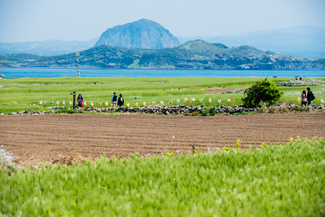 가파도 풍경. 제주일보 고봉수 기자