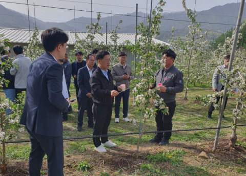 박정훈 농식품부 식량정책실장, 영주시 사과농가 방문