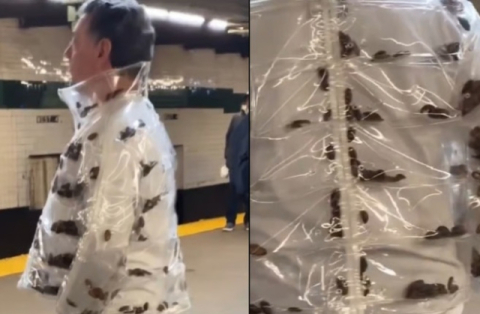 바퀴벌레가 패딩 속에서 '꿈틀'…뉴욕 지하철 男 패션에 