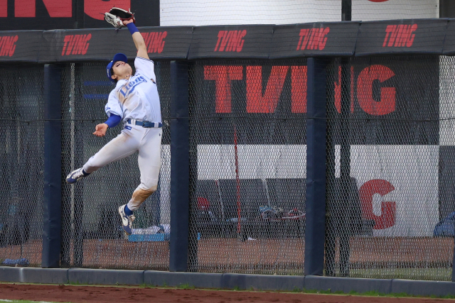 삼성 라이온즈의 우익수 박승규가 23일 대구에서 열린 SSG 랜더스와의 경기 2회초 펜스와 부딪히며 파울 타구를 잡아내고 있다. 삼성 제공