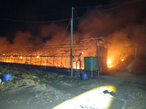 의성 안평면 양계장 화재, 병아리 1만마리 폐사…인명 피해 없어