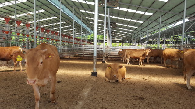가축 사육시설 전경. 영주시 제공