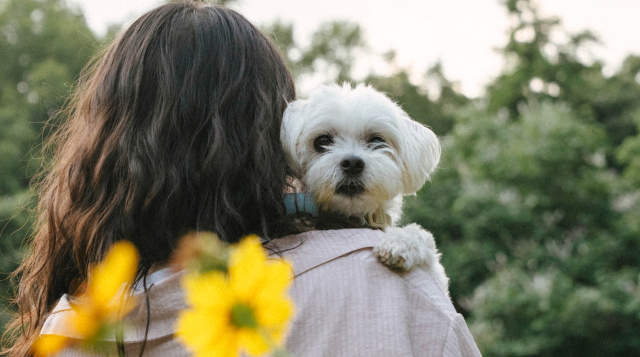 [아름다운 동행] 
