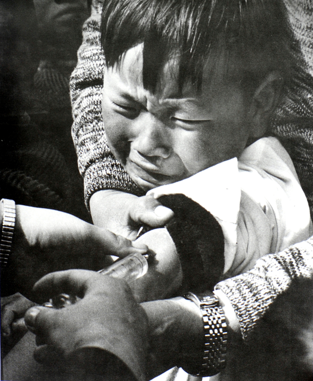 [매일신문 전국 어린이  사진공모전 70년]<1971년 17회>금상 김신규 작 
