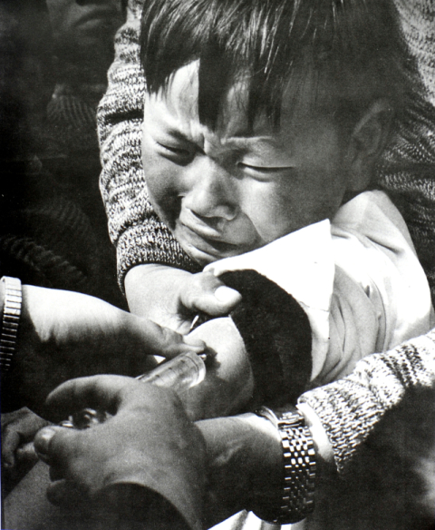 [매일신문 전국 어린이  사진공모전 70년]<1971년 17회>금상 김신규 작 