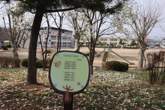 모량초등학교에는 박목월 시인의 시들이 순수한 얼굴로 노래하고 있다.