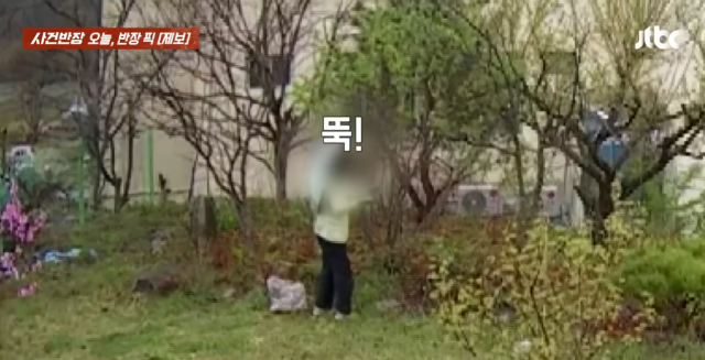 JTBC 사건반장 방송화면