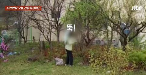 우산 쓰고 슬쩍…남의 집 마당 '두릅·오가피순' 무차별 털어간 여성