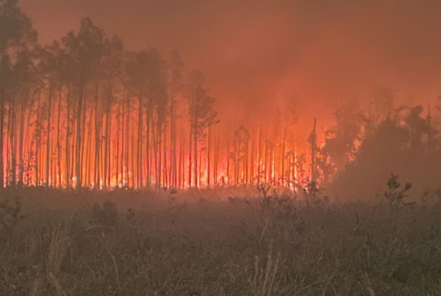 25일(현지시간) 미국 조지아주 클린치 카운티에 산불이 번지고 있다. 연합뉴스