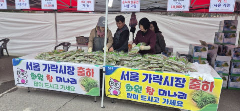 수도권 홀린 대구 달성군 특산물 '화원 미나리' 가락시장서 32톤 팔렸다