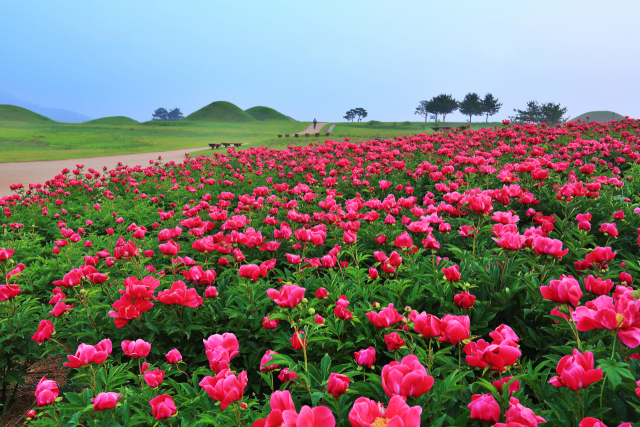 의성 조문국 사적지. 경북도 제공.