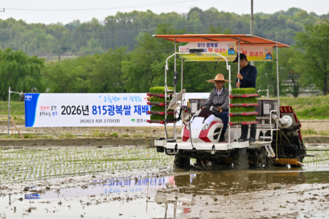 영주시, 8·15 광복쌀 올해 '첫 모내기' …