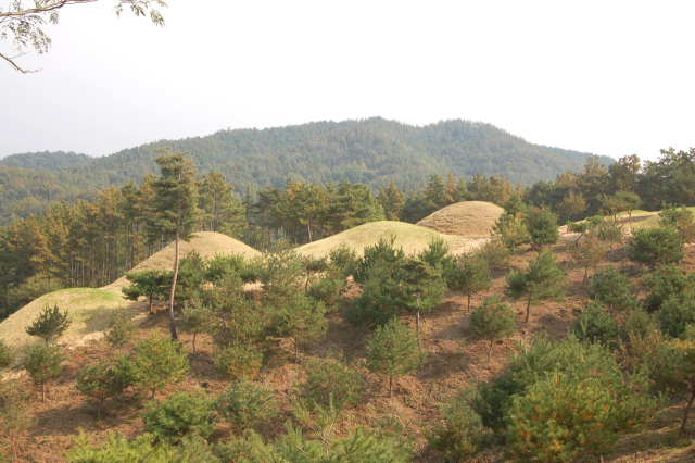 지산동 대가야 고분군