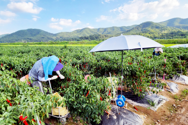 경북 청송군이 27일부터 오는 6월 30일까지 지역 지정 금융기관을 통해 