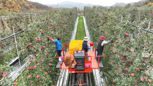 청송군 농민수당 38억 푼다…6천 농가에 60만원씩 지급