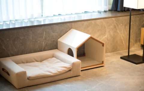 구미옥성자연휴양림, 반려동물 동반객실 있는 '숲캉스' 조성