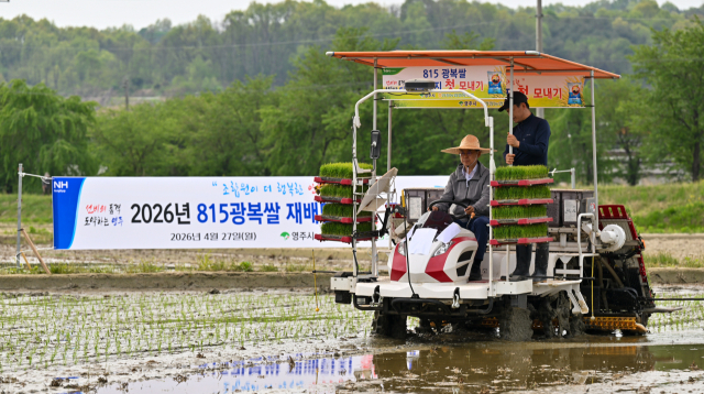 애국심이 쑥쑥…'8·15 광복쌀' 올해 첫 모내기 돌입