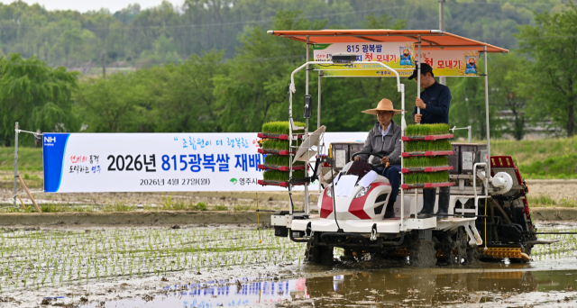 애국심이 쑥쑥…'8·15 광복쌀' 올해 첫 모내기 돌입