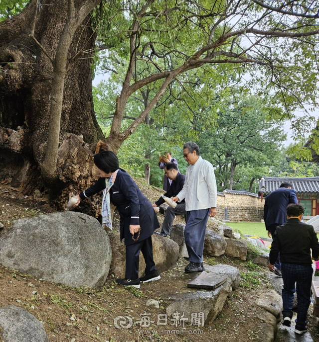 포항 임허사가 5월 2일부터 흥해읍 이팝나무 군락에서 