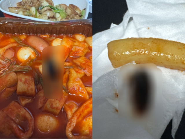 온라인 커뮤니티 갈무리