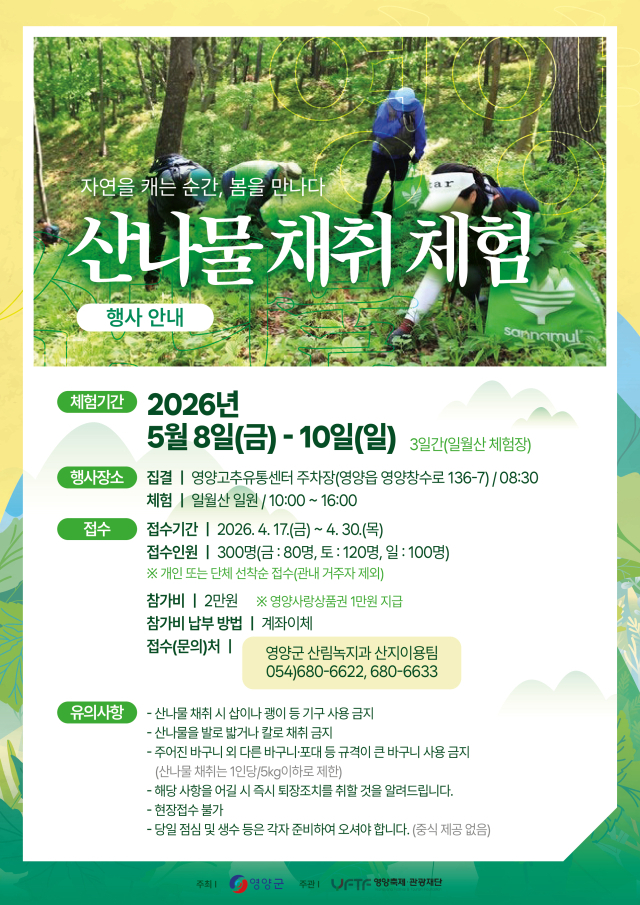 2026 영양산나물축제의 대표 체험 프로그램인 산나물 채취 체험의 안내 포스터. 영양군 제공