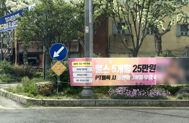 지난 27일 돌아본 대구 북구 국우동 한 도롯가에는 약 10m마다 같은 헬스장 현수막이 붙어 있었다. 김지효 기자