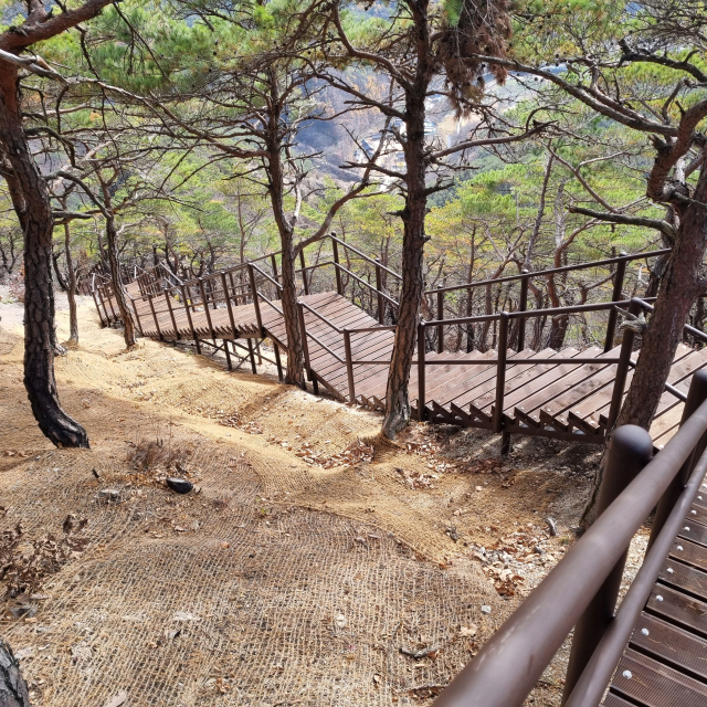 주왕산국립공원에 정비된 탐방로 목재 데크. 주왕산국립공원사무소 제공