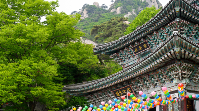 [팔도 핫플레이스] 도심 속 쉼표가 있는 풍경 '의정부 8경'