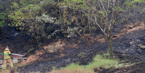 영덕 야산에서 산불 발생 1시간 30여분 만에 진화돼