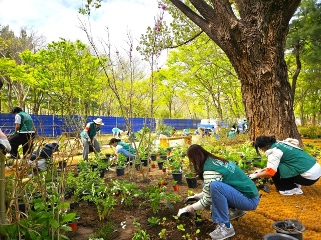 스타벅스가 5월 1일부터 서울국제정원박람회에 참여하며 서울숲에 새롭게 재단장한 을 공개한다. 스타벅스 제공