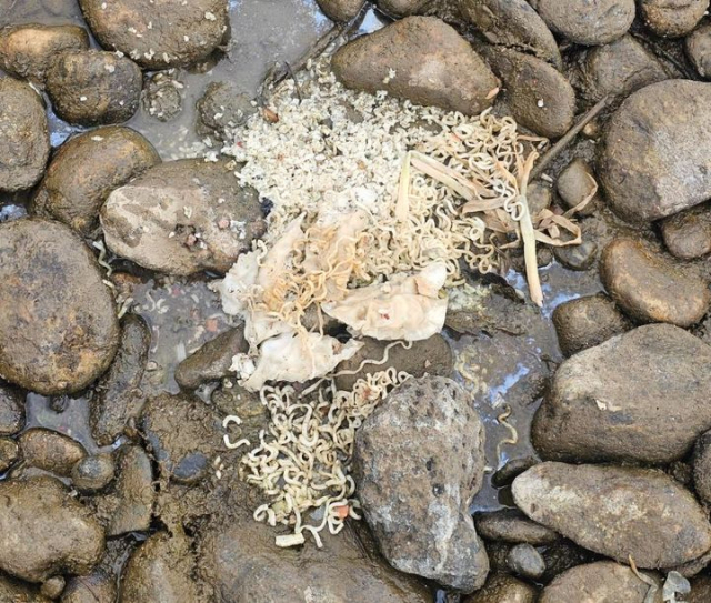 온라인 커뮤니티 보배드림