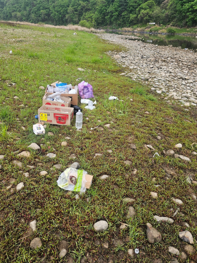 온라인 커뮤니티 보배드림