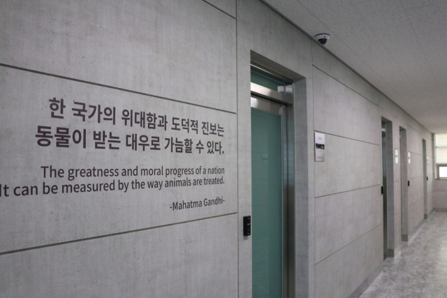 반려동물 케어 전 과정을 한 공간에서 배울 수 있는 안동과학대 반려동물케어과 전용 실습 교육시설인 