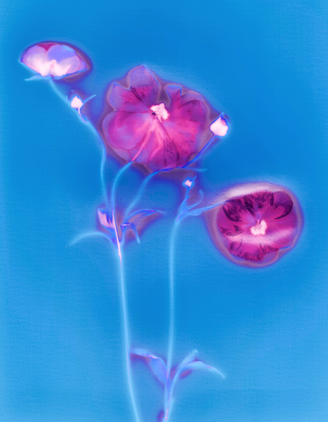 김영록 작.