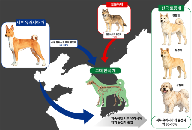 한반도 고대 개 DNA 첫 해독…