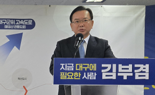 김부겸 
