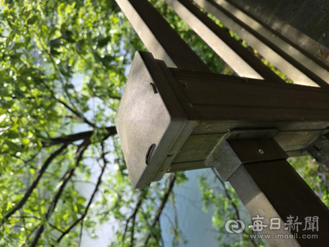 사본_김천 오봉저수지 수변데크, '자벌레 습격'에 몸살… 산책객들 비명