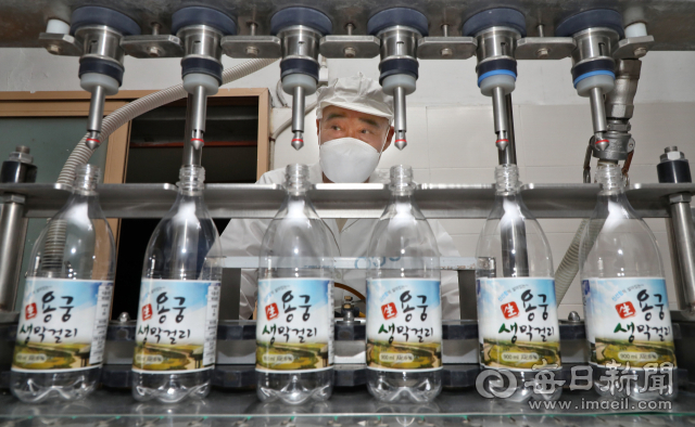 권순만(78) 용궁 합동양조장 대표가 생막걸리 병입에 앞서 최종 점검을 하고 있다. 15세에 막걸리 배달로 양조업계에 첫발을 들인 그는 누룩 띄우기부터 담금·숙성·병입까지 전 과정을 홀로 도맡아 70년 가까이 한길을 걸어왔다. 정운철 기자 woon@imaeil.com