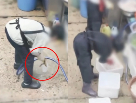 쓰레기통 얼음 '와르르' 재사용한 그 식당…과태료 처분만?