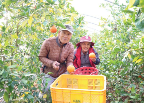 경북개발공사, 고향의 기억 담은 앨범 '내리·상림 사람들' 발간
