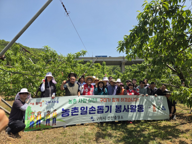 구미 선산출장소, 옥성면 고령·독거 복숭아 농가 3개소 일손돕기 실시